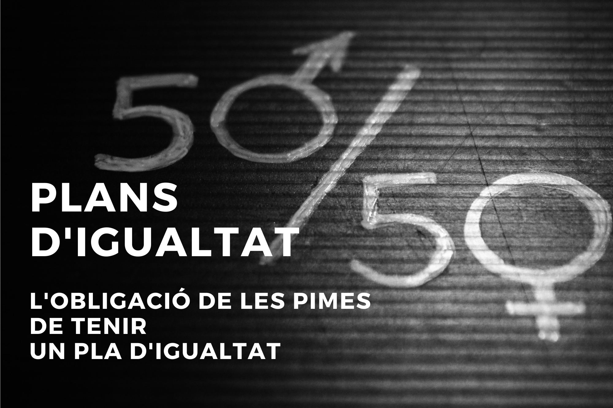 Plans D’Igualtat: L’obligació De Les PIMES De Tenir Un Pla D’igualtat.