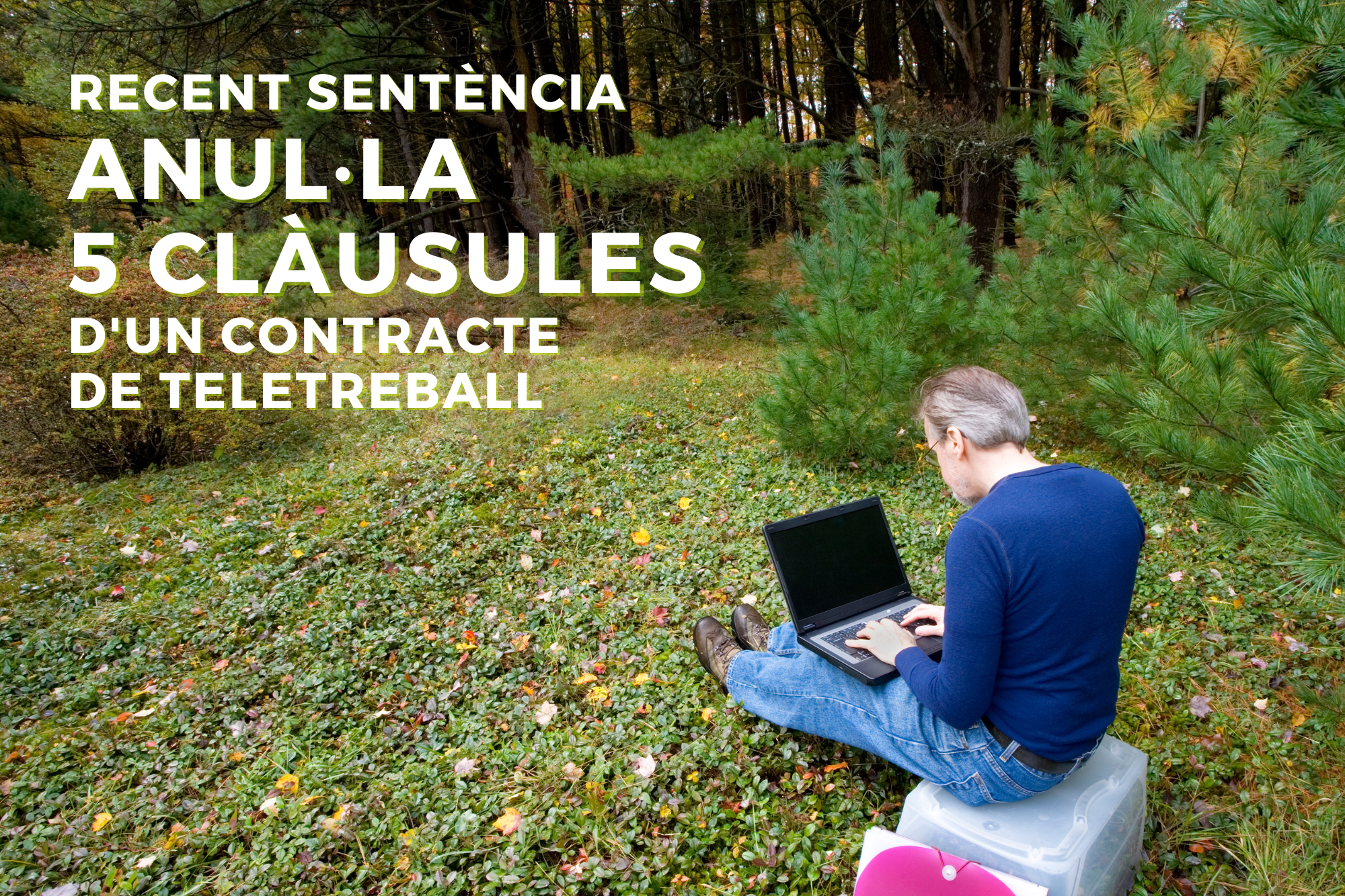 Recent Sentència Anul·la 5 Clàusules D'un Contracte De Teletreball, Domenech Delsors Advocats